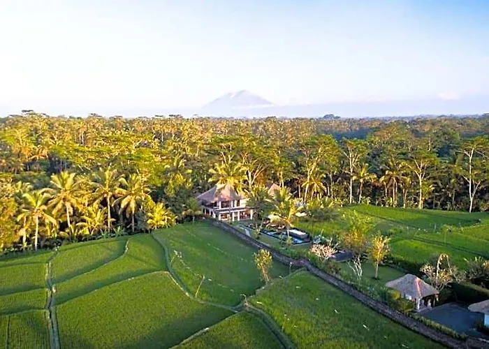 Peaceful 3 Bedroom Private Rice Field View Zn19 Villa Tegallalang (Bali)