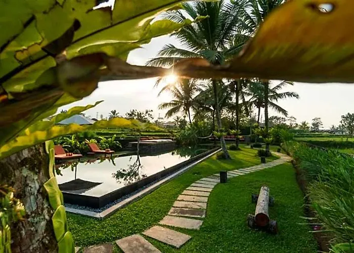 Villa Peaceful 3 Bedroom Private Rice Field View Zn19 *