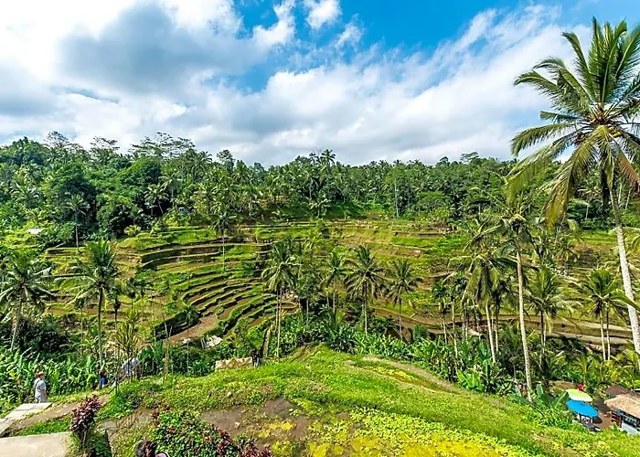 Peaceful 3 Bedroom Private Rice Field View Zn19 Villa
